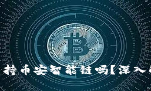 Tokenim支持币安智能链吗？深入解析和指南