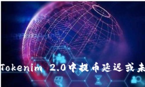 如何解决在Tokenim 2.0中提币延迟或未到账的问题