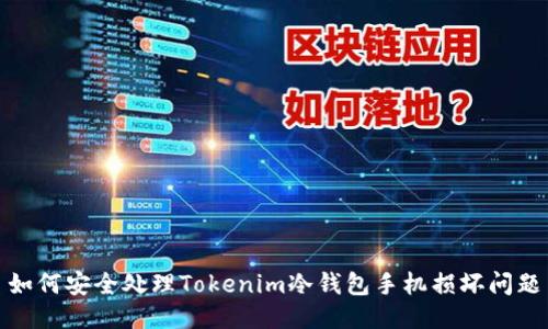 如何安全处理Tokenim冷钱包手机损坏问题